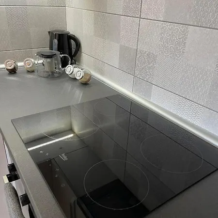 アパート Downtown 2 *